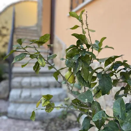 Profumo Di Mirto 아파트 키아